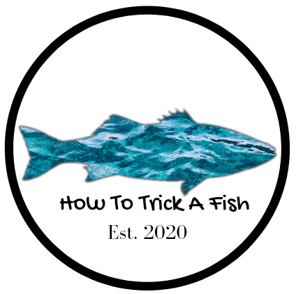 How To Trick A Fish